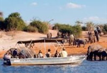 Full Day Chobe Tour